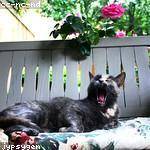 Zula Zieme Profile Picture