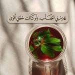 Red Rose Profile Picture